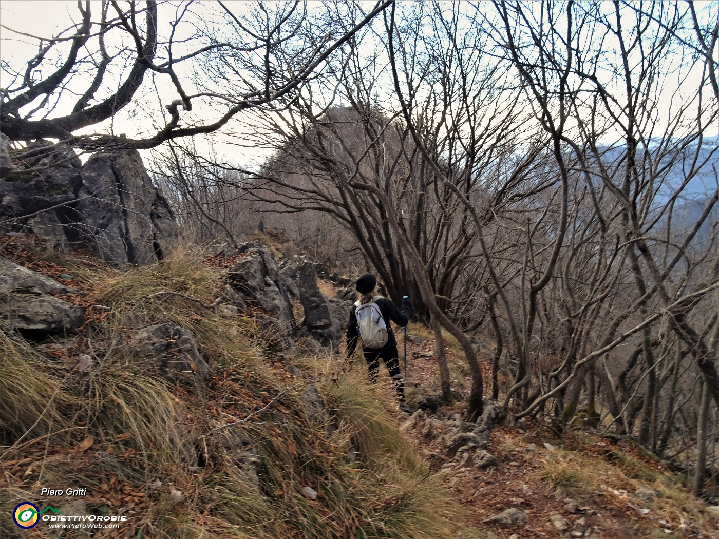 33 In discesa nel bosco di carpini neri.JPG